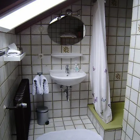Апартаменты Haus Rosch *
